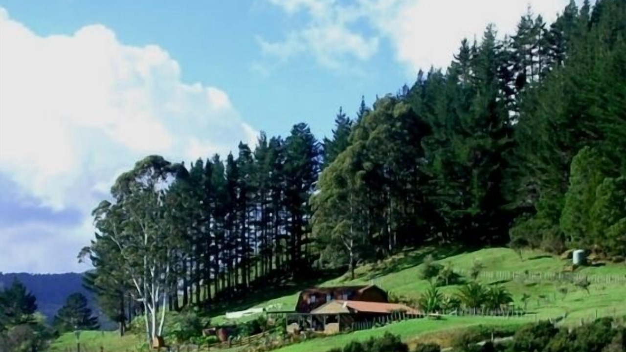 Photo of Others in Kaeo