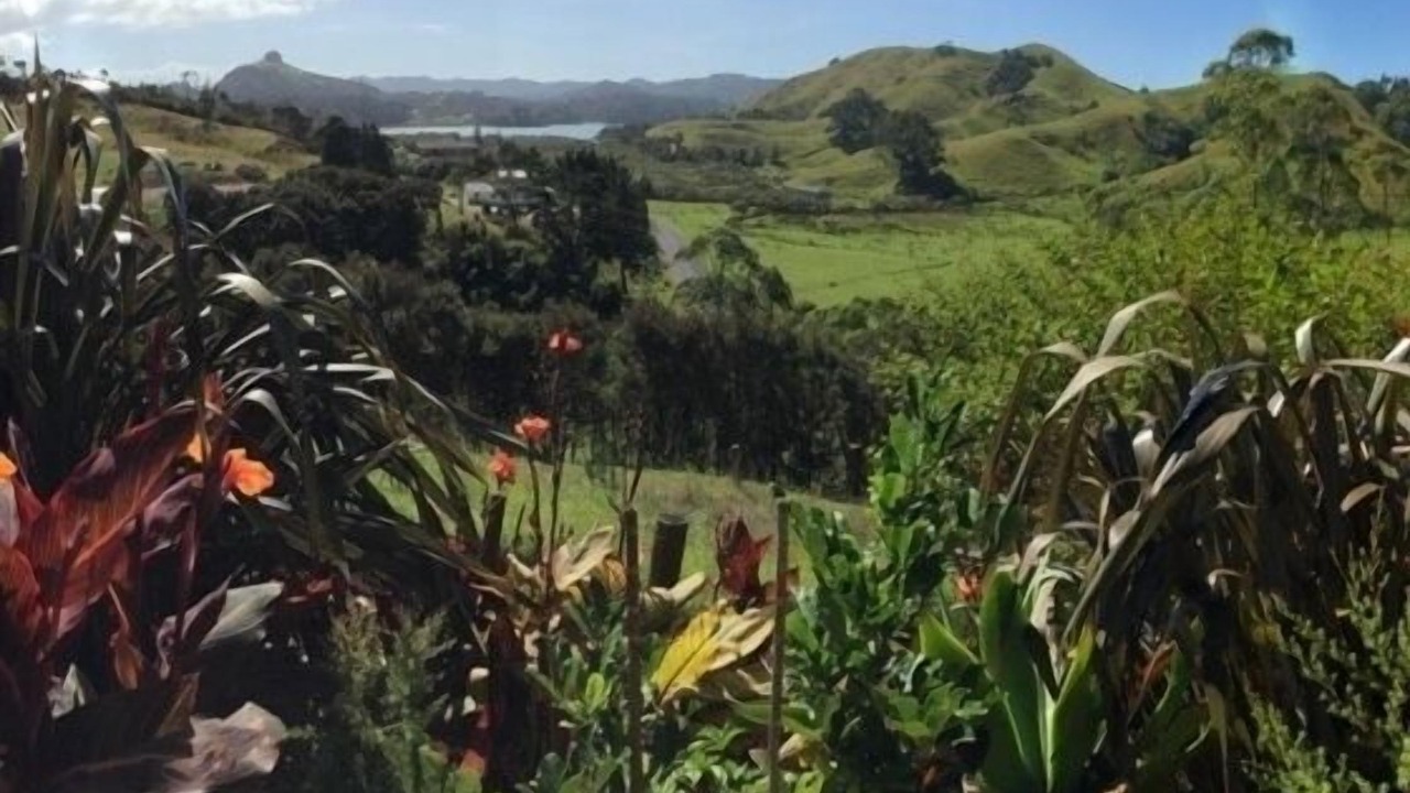 Photo of Others in Kaeo