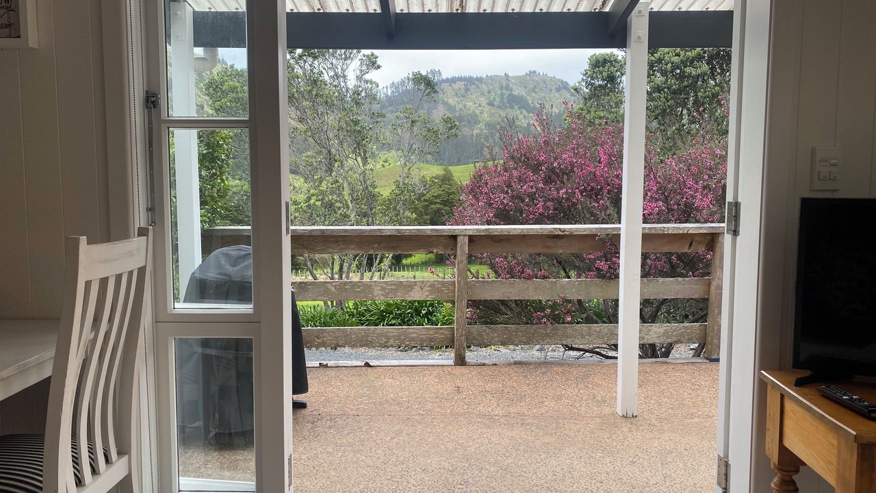Photo of Others in Matakana