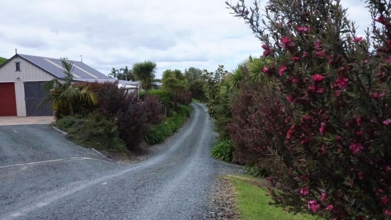 Photo of Others in Matakana