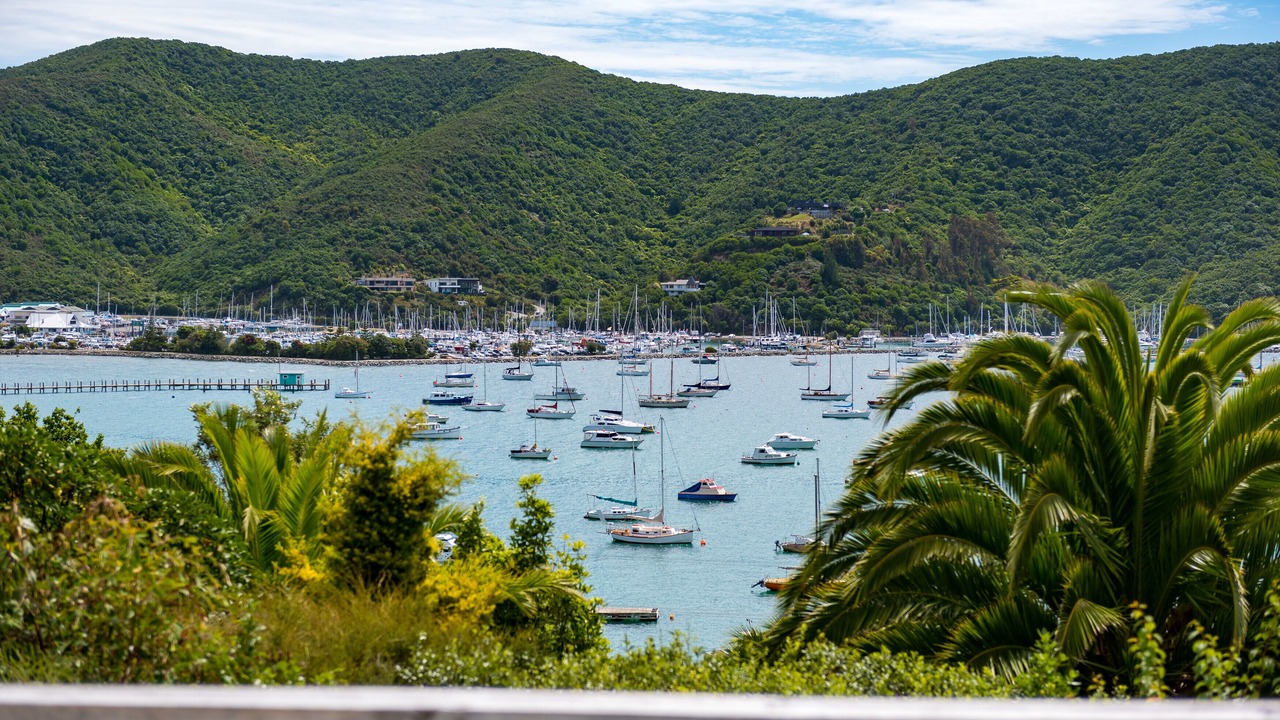 Photo of Others in Waikawa Bay