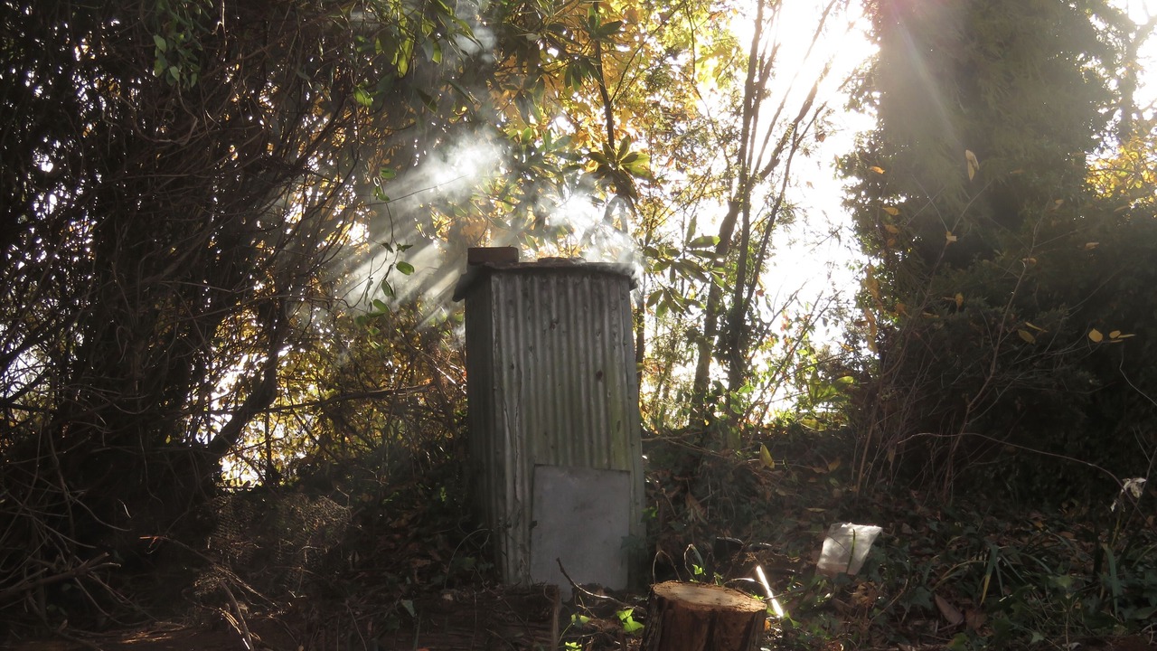 Photo of Outdoor in Turangi