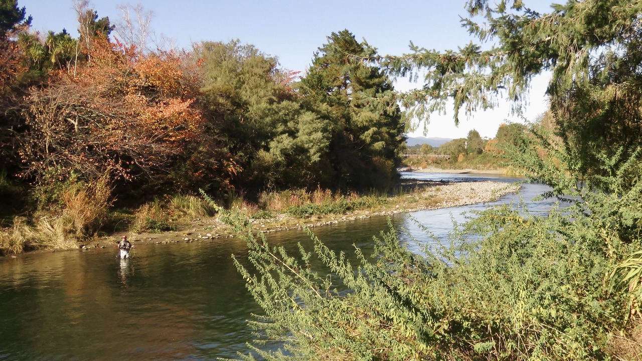 Photo of Others in Turangi