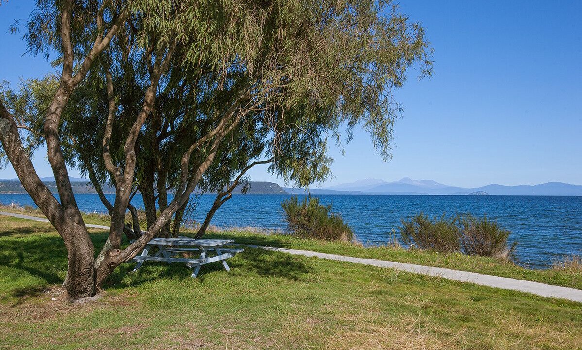 Photo of Outdoor in Waitahanui