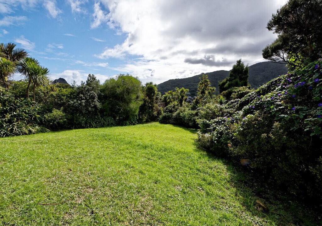 Photo of Outdoor in Piha