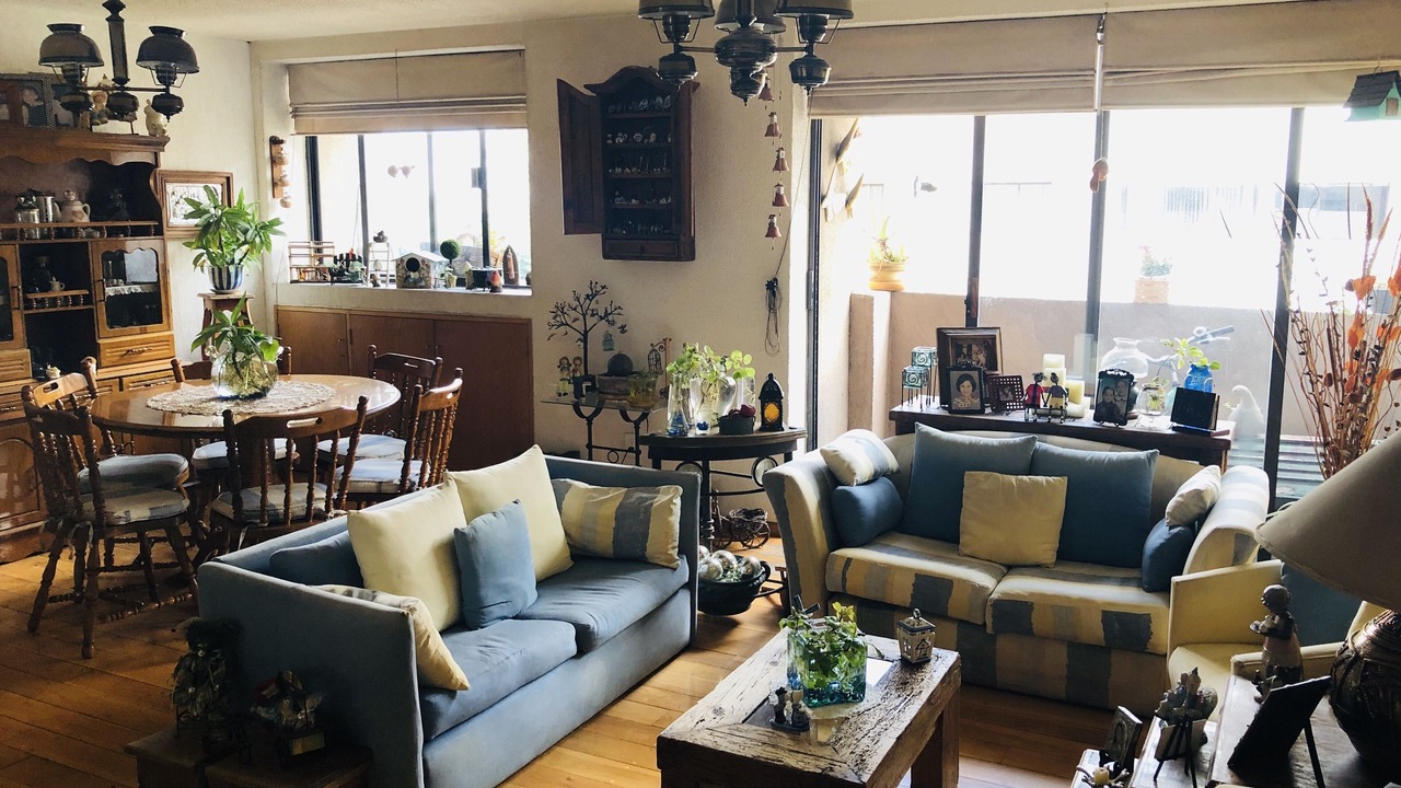 Photo of Livingroom in Coyoacan