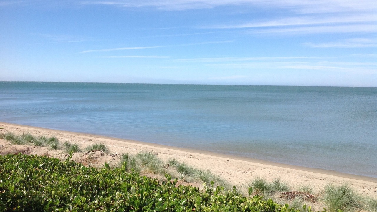 Photo of Others in Pakawau