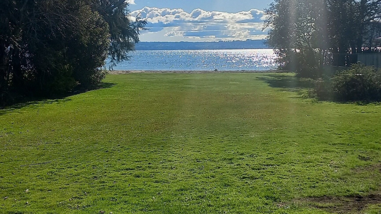 Photo of Others in Holdens Bay