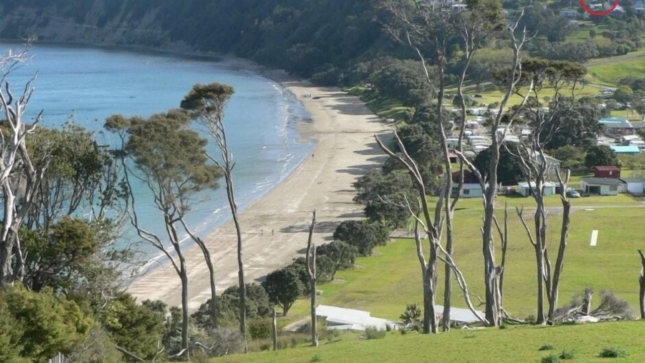 Photo of Others in Mahurangi East