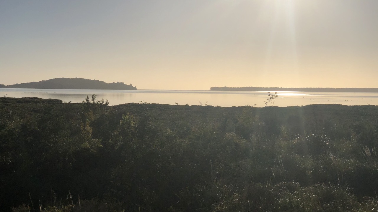 Photo of Others in Tanners Point