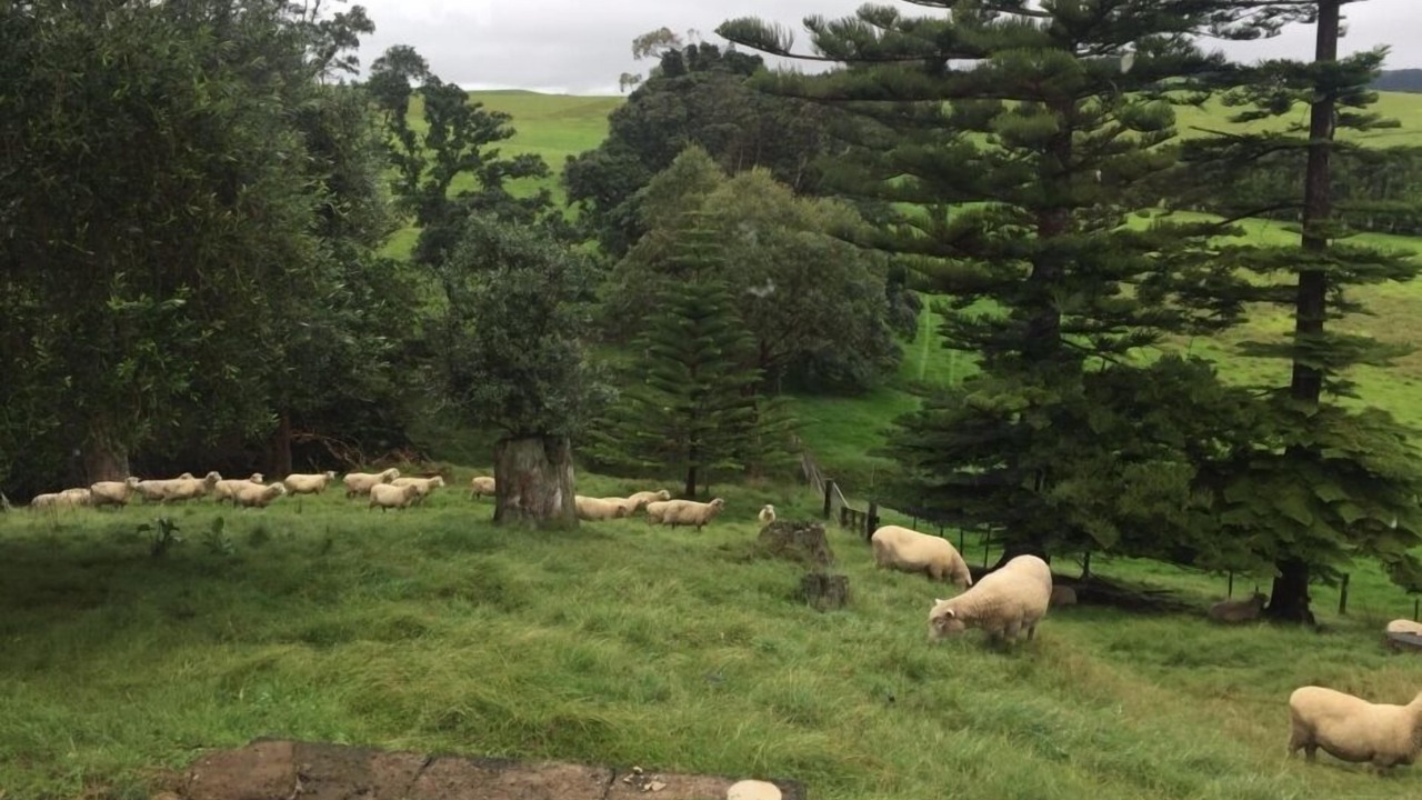 Photo of Others in South Head