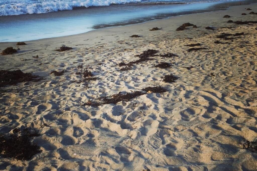 Photo of Others in Palm Beach