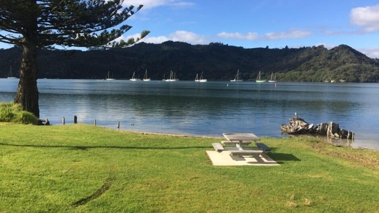 Photo of Others in Whitianga