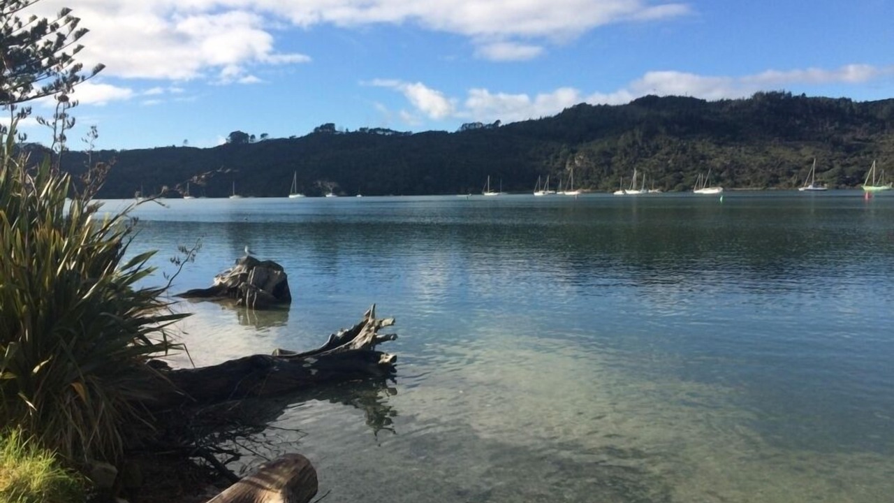 Photo of Others in Whitianga