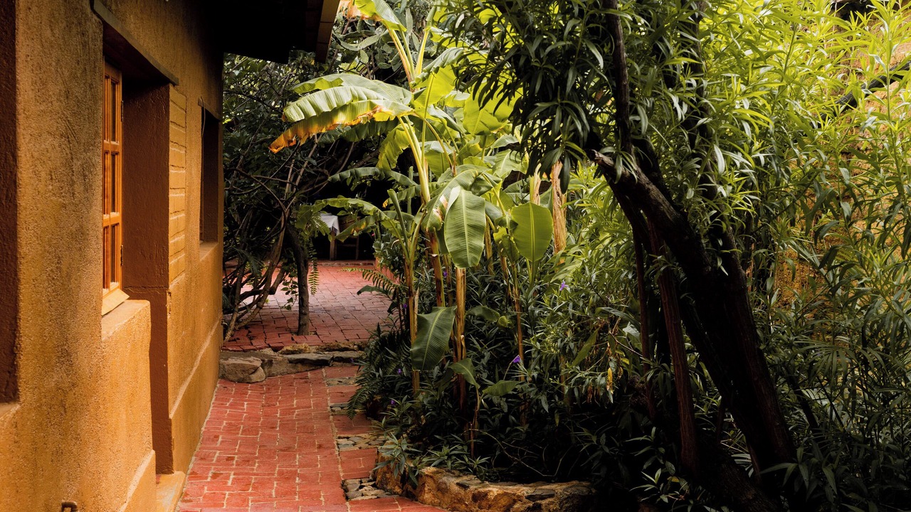 Photo of Outdoor in San Felipe del Agua