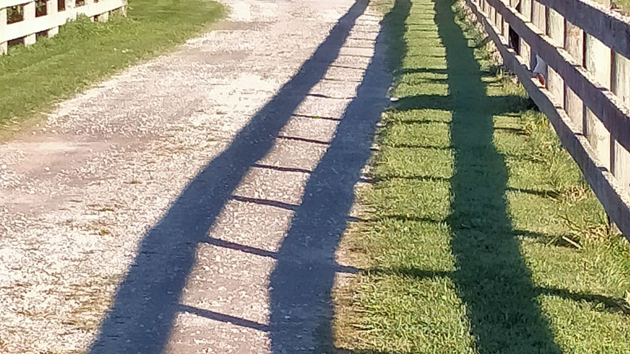 Photo of Others in Darfield