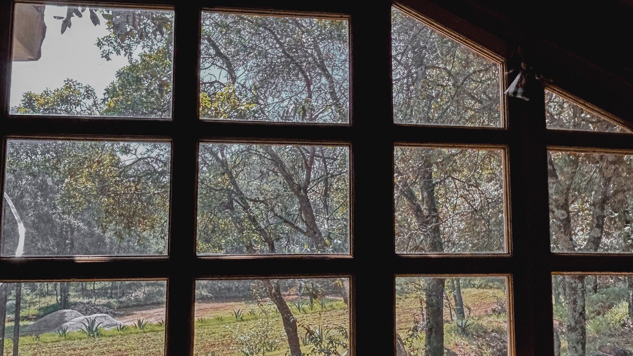Photo of Others in Huasca De Ocampo