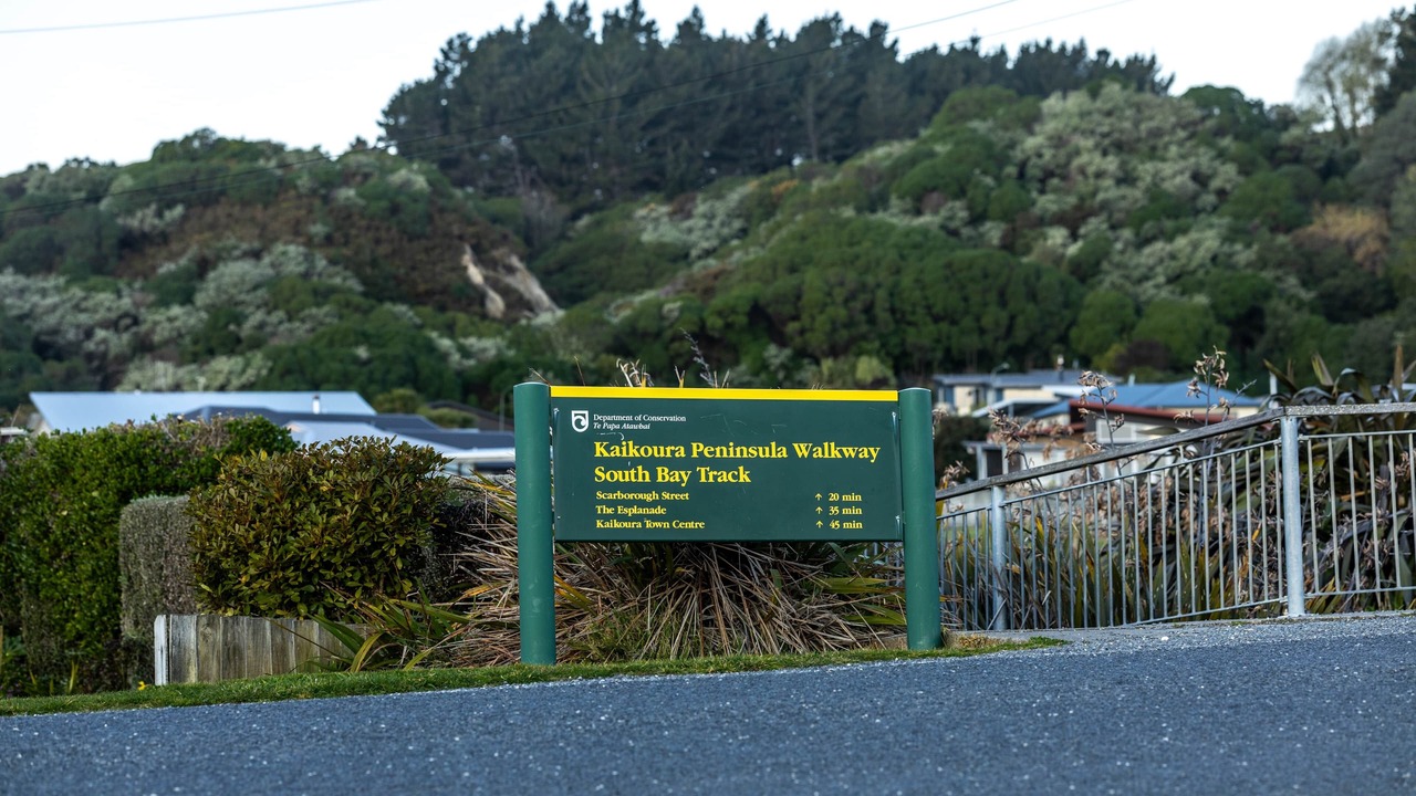 Photo of Outdoor in South Bay