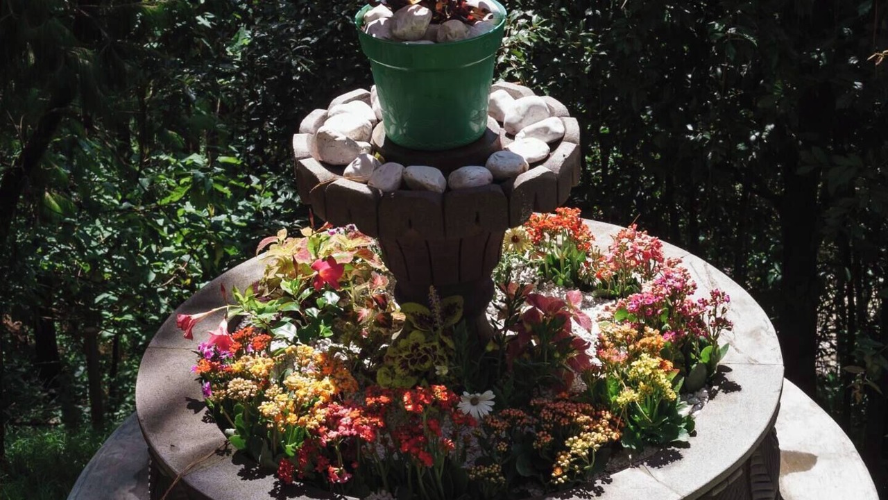 Photo of Outdoor in Nogales