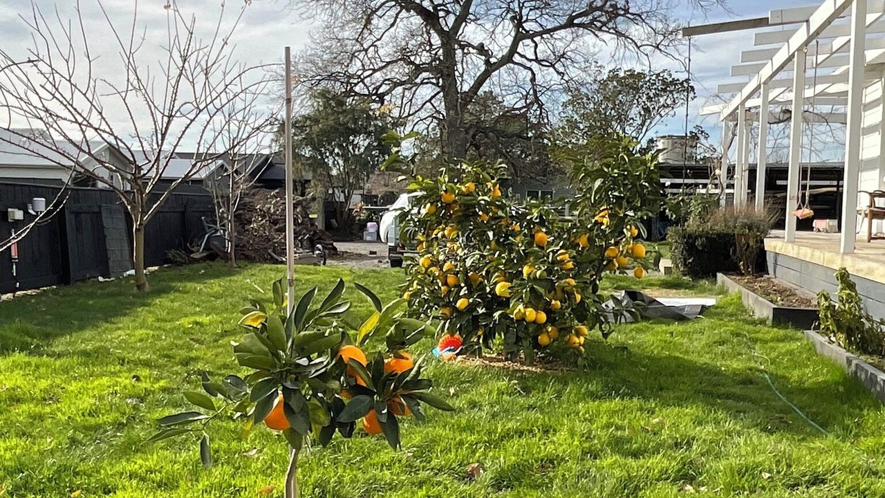 Photo of Outdoor in Havelock North