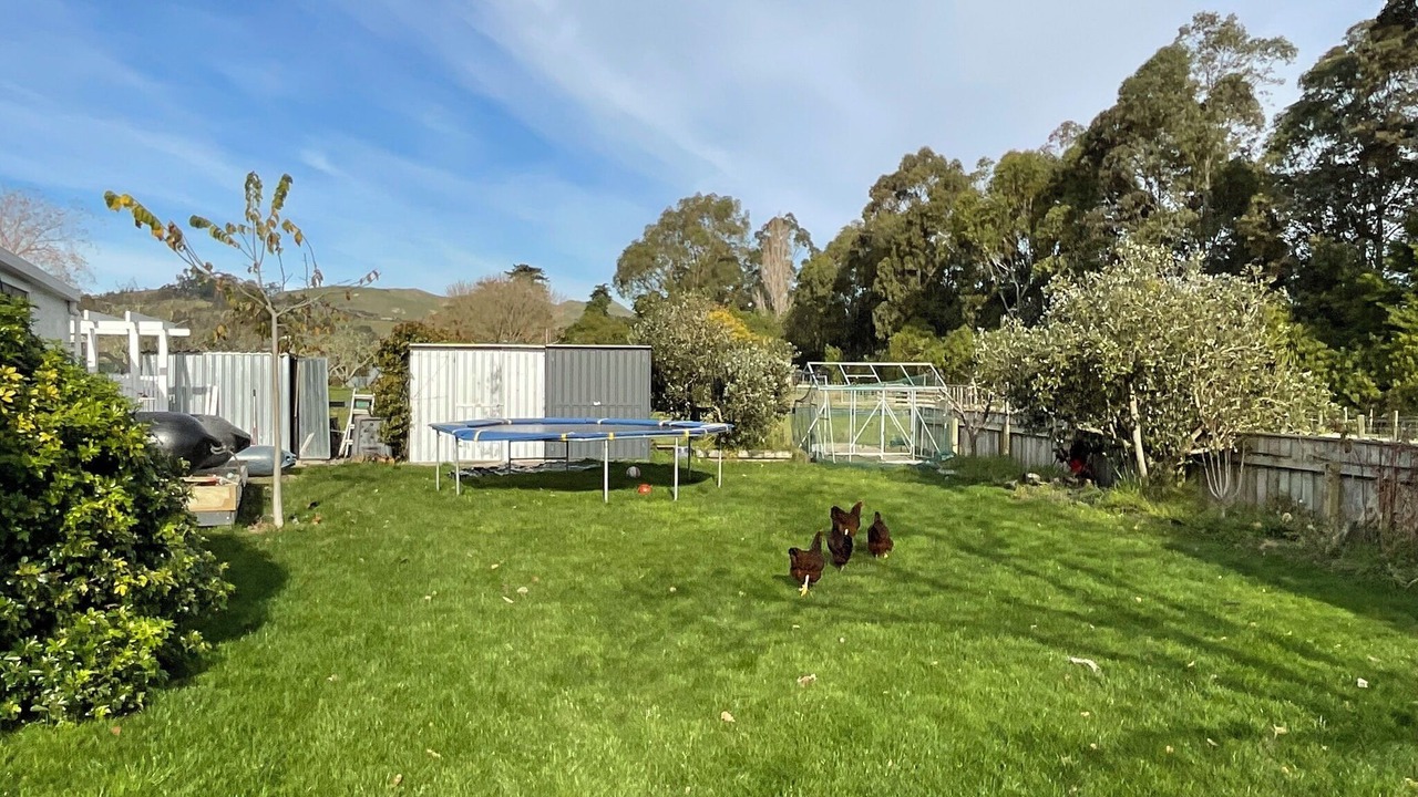 Photo of Outdoor in Havelock North