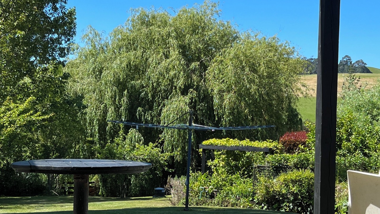Photo of Outdoor in Matakana