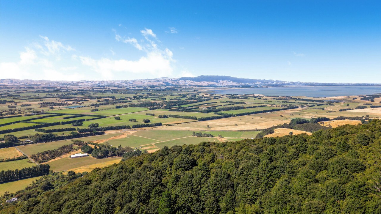 Photo of Outdoor in Featherston