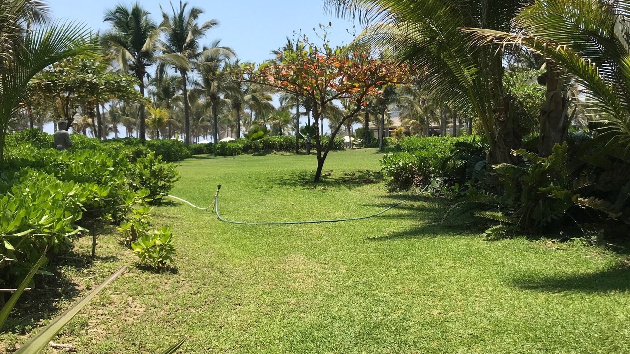 Photo of Outdoor in Playa Diamante