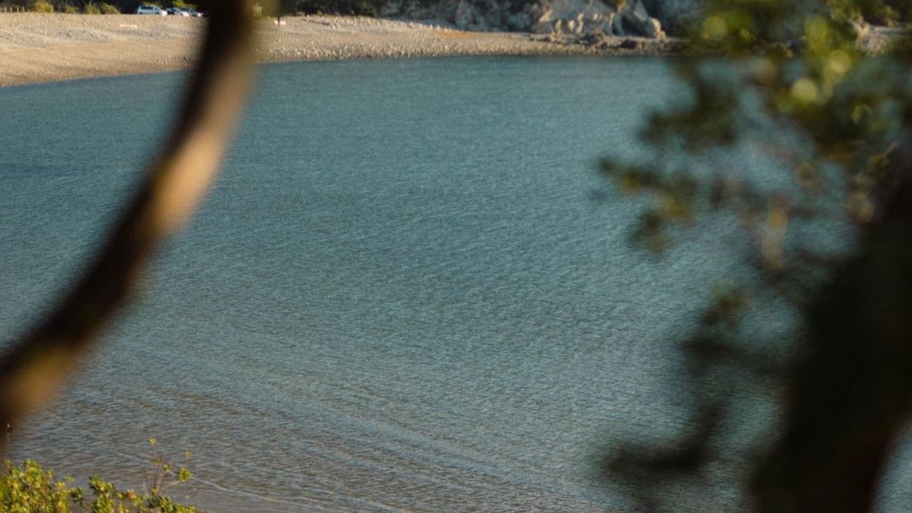Photo of Others in Nelson Region