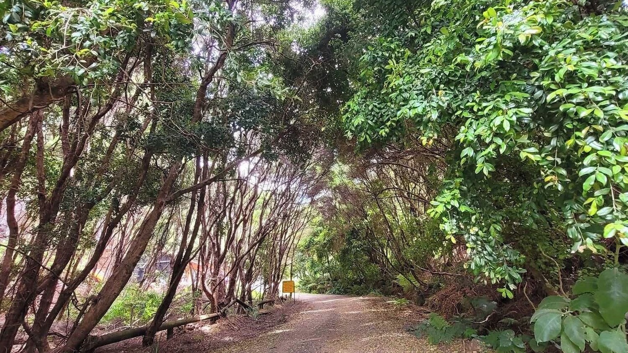 Photo of Outdoor in Kawau Island