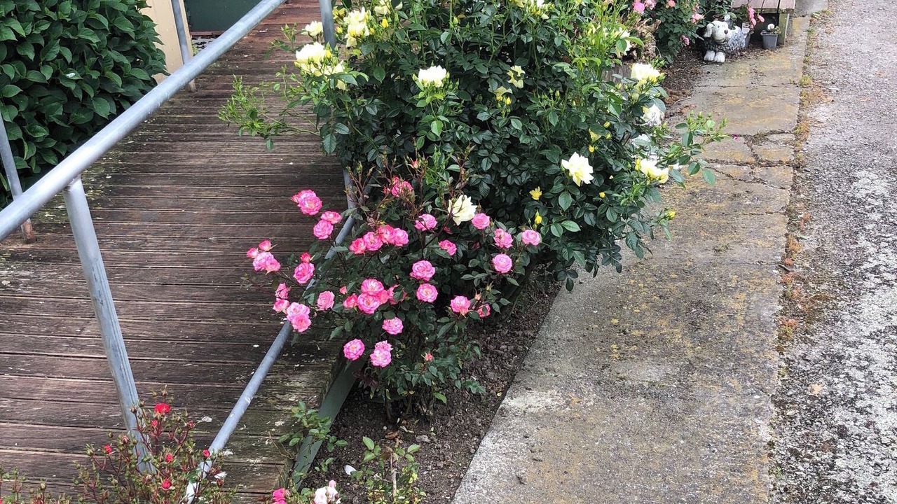 Photo of Outdoor in Solway