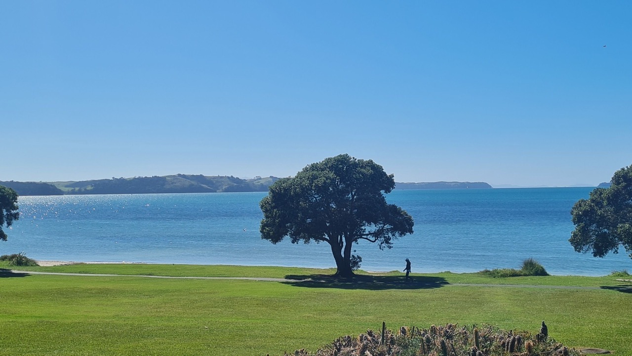Photo of Others in Snells Beach