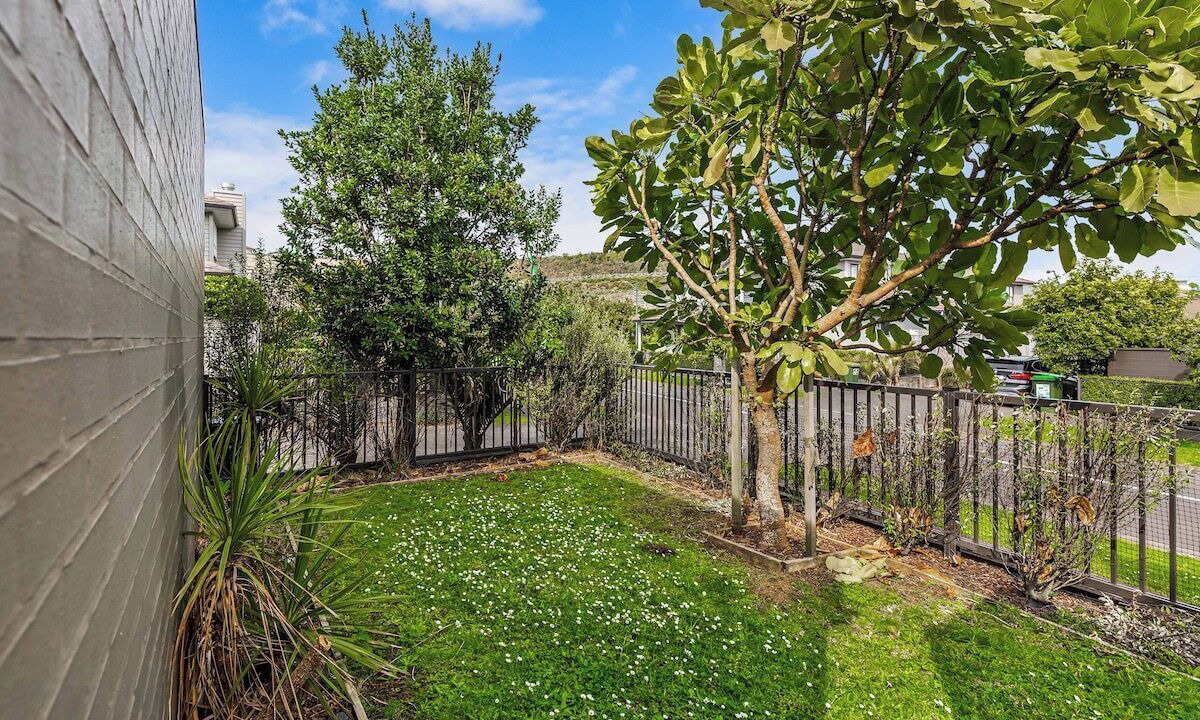 Photo of Outdoor in Greenlane - Ellerslie