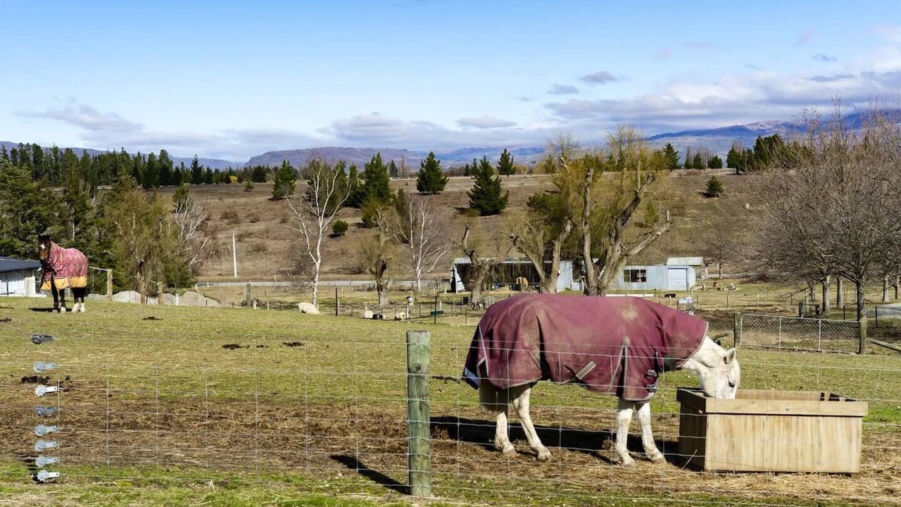 Photo of Others in Clyde