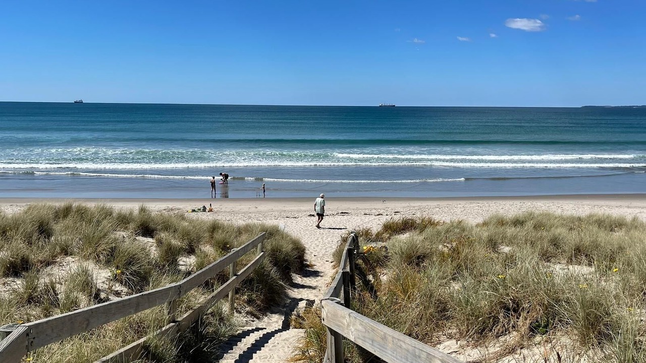 Photo of Others in Mount Maunganui