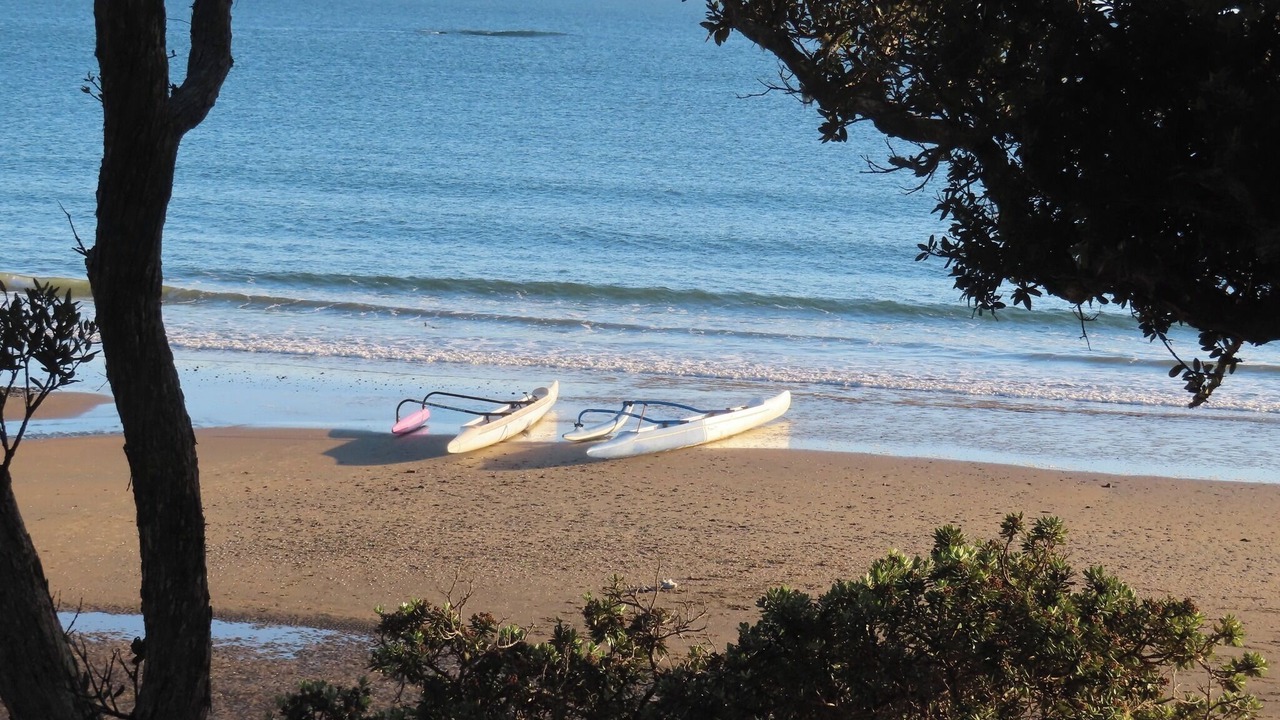 Photo of Others in Coopers Beach