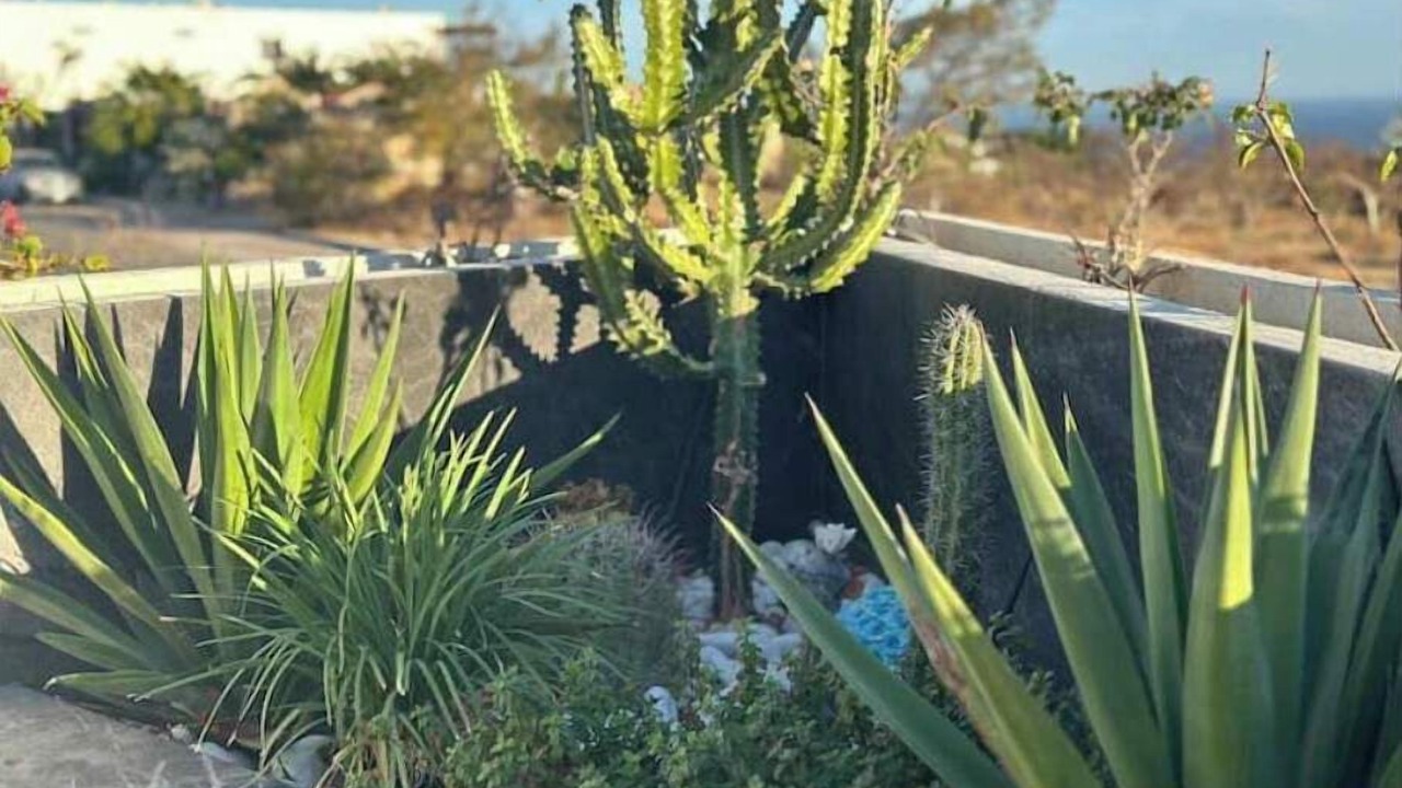 Photo of Outdoor in Colonia El Progreso
