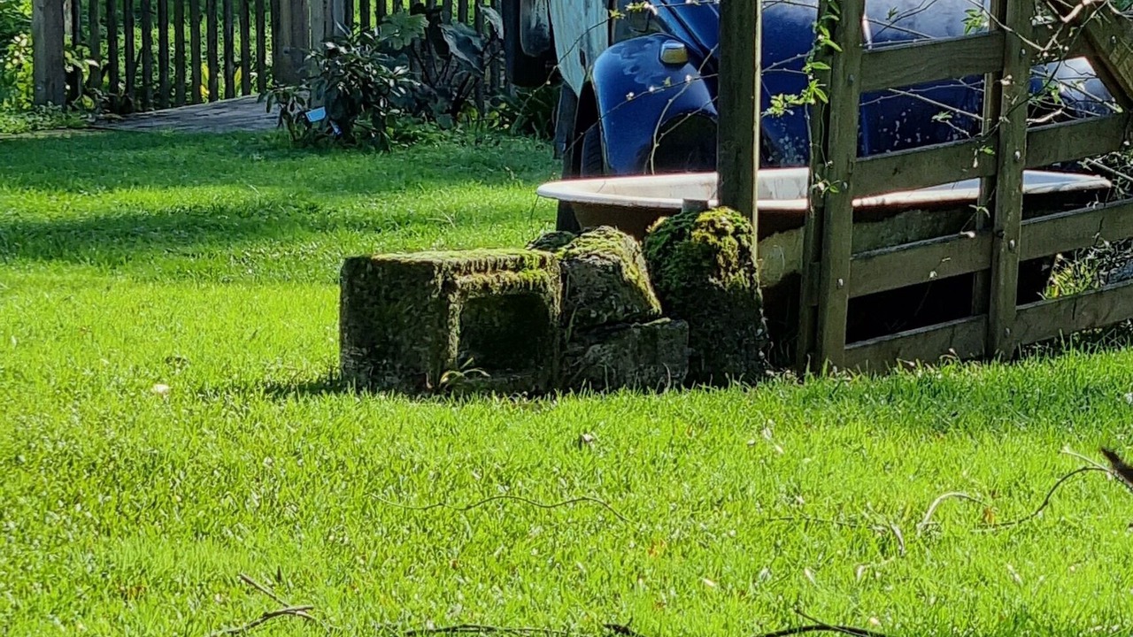 Photo of Outdoor in Whangarei