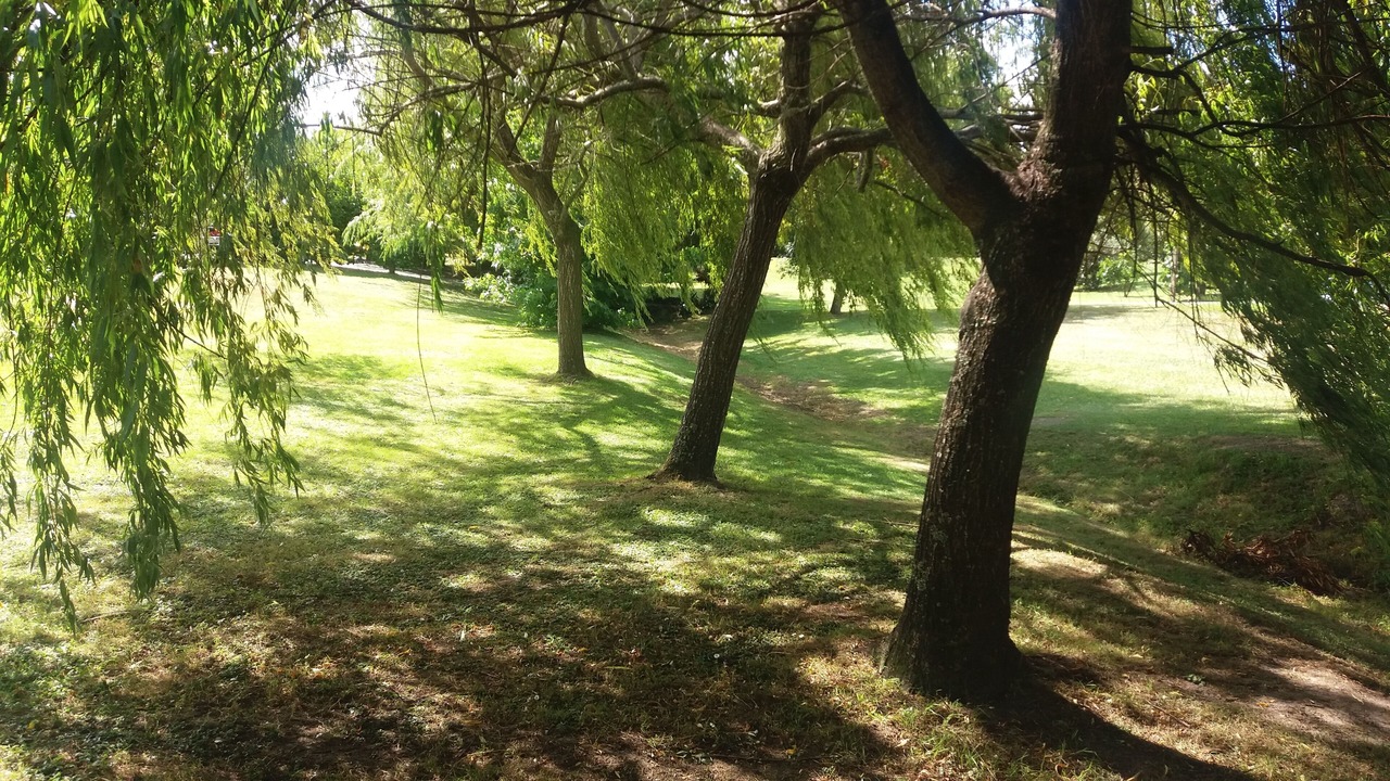 Photo of Outdoor in Whangarei
