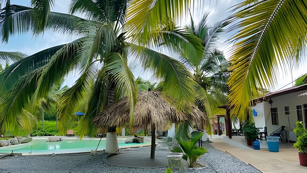 Photo of Outdoor in Saladita