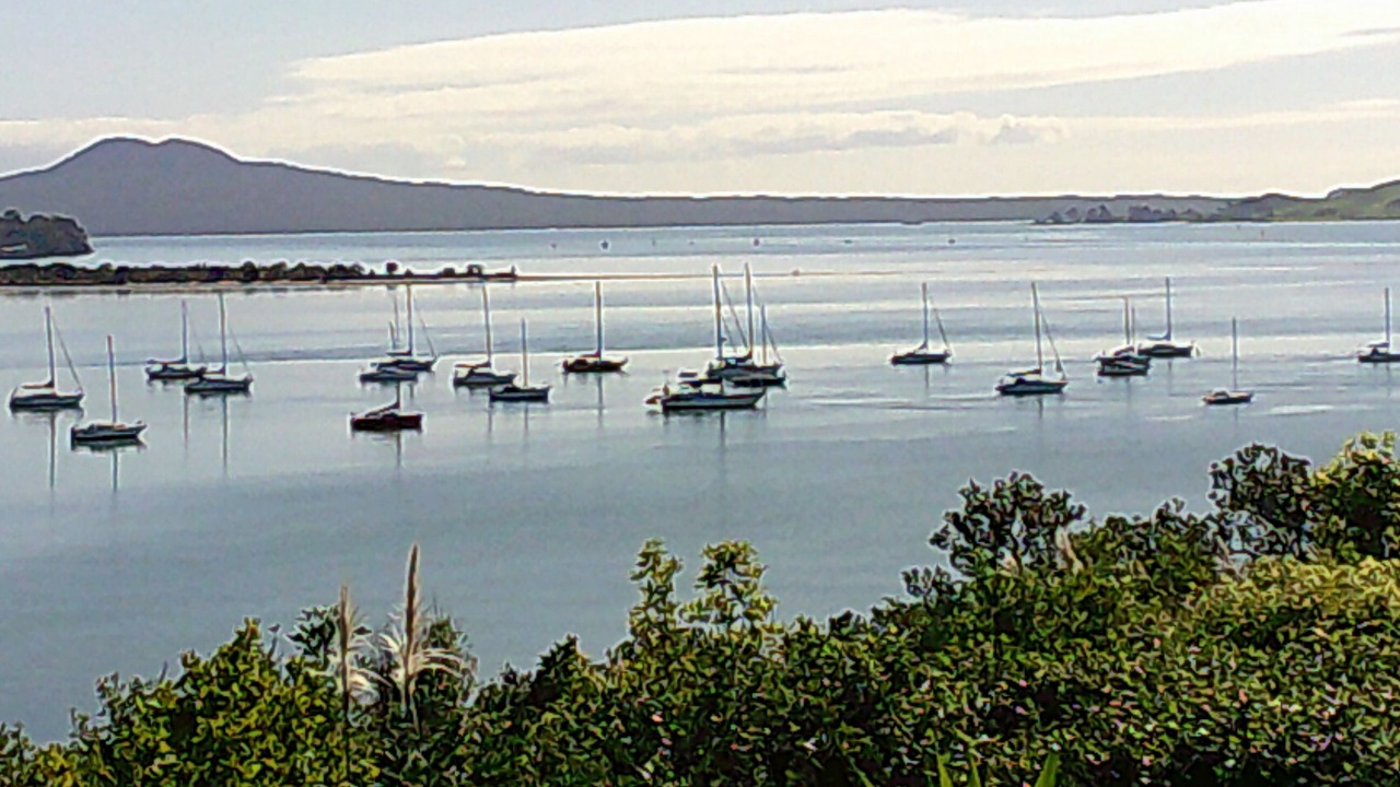 Photo of Others in Auckland