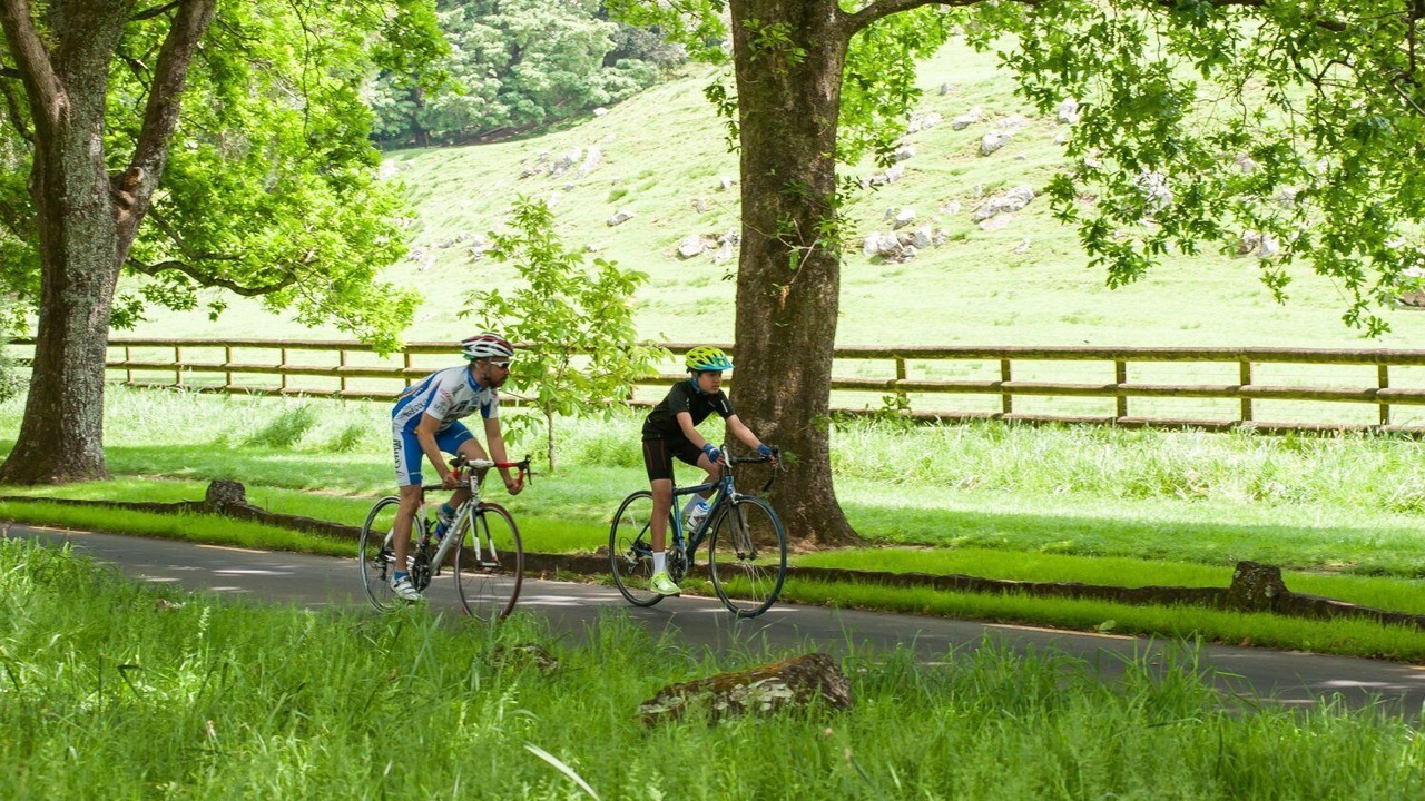 Photo of Others in Greenlane