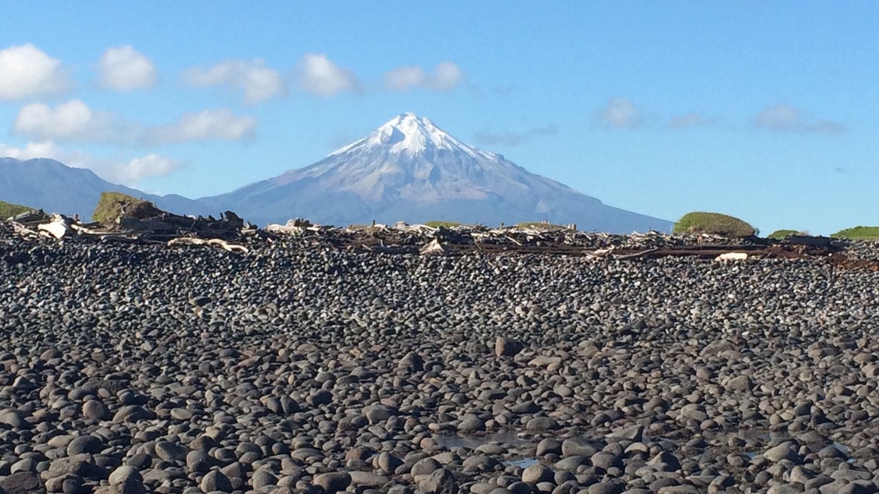 Photo of Others in Warea