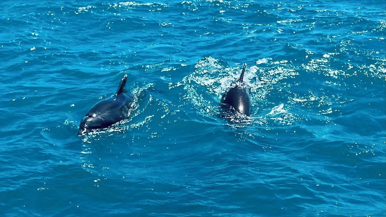 Photo of Others in Laguna Shores