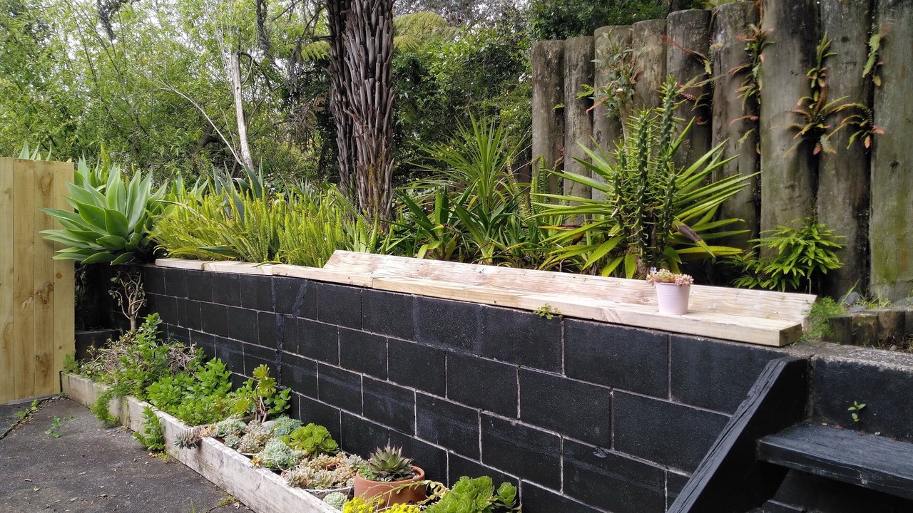Photo of Outdoor in Auckland