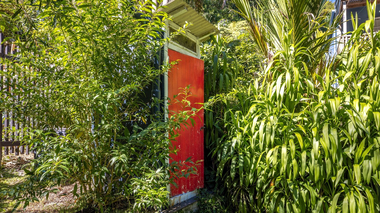 Photo of Outdoor in Oneroa