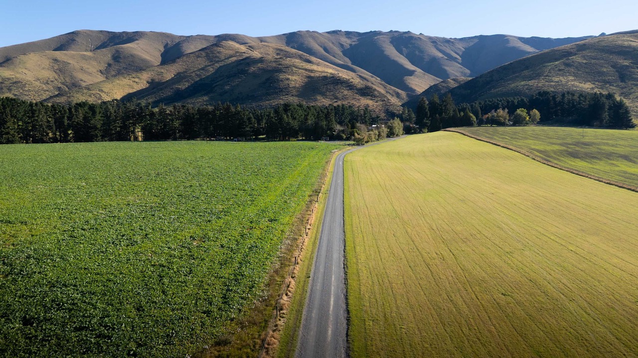 Photo of Others in Mackenzie Country