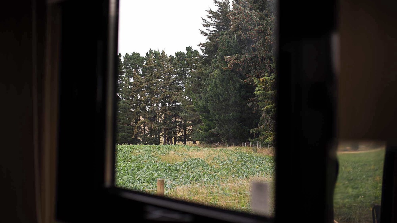 Photo of Others in Mackenzie Country