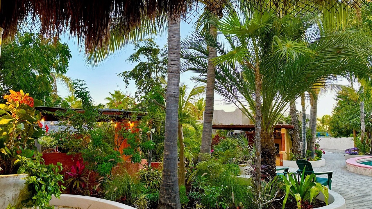 Photo of Patio Balcony in Los Barriles