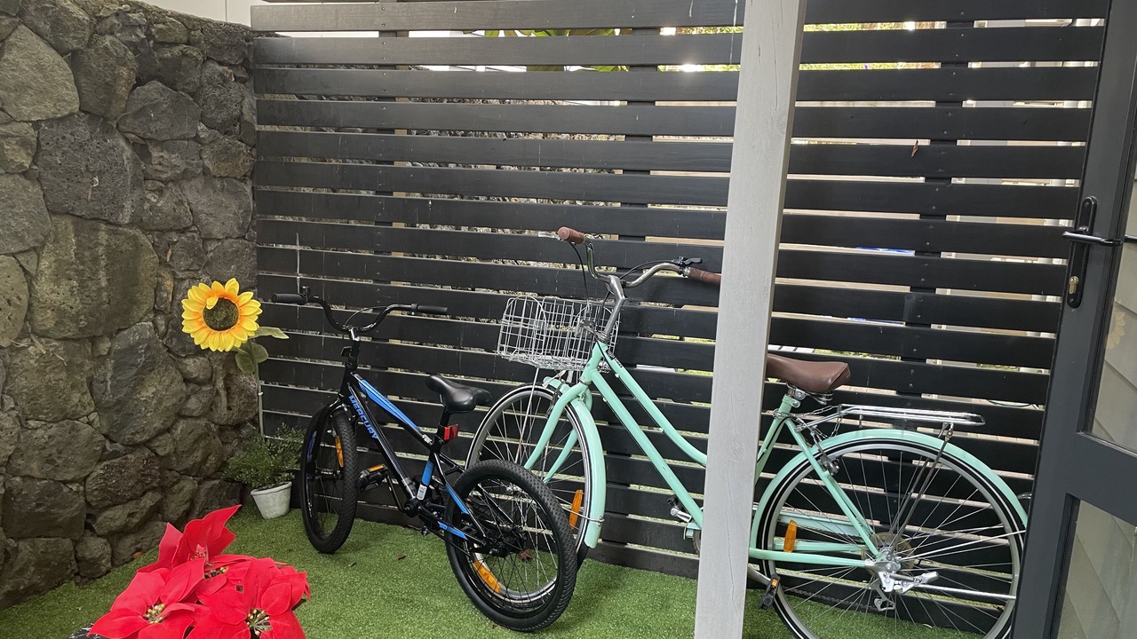 Photo of Outdoor in Parnell